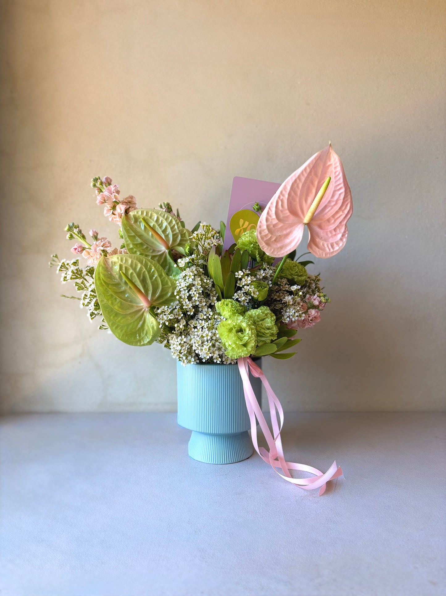 soft + subtle